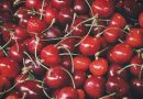 Smag på kvalitet: Vores kirsebærprodukter